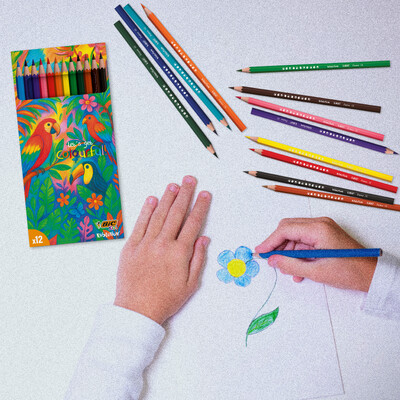 Bic Packaging PLV