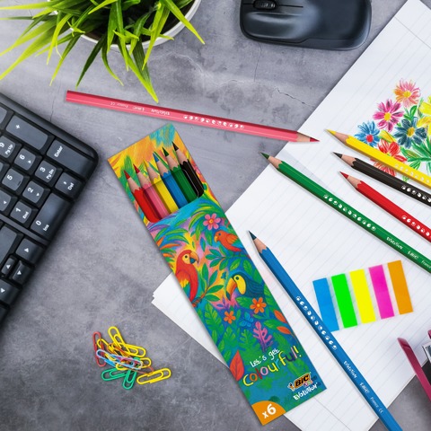 Bic-Packaging-PLV